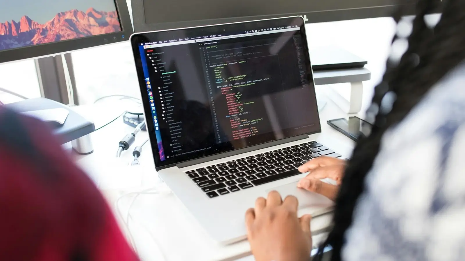 Sustainability in Software Development